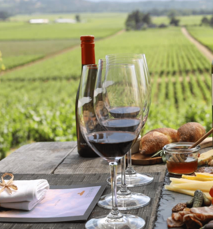 Clickable Web Co creates beautiful, functional websites for wineries, restaurants, and hospitality businesses across the Barossa Valley, Adelaide Hills, and Adelaide. Local design for local small businesses. This image featured a Red wine bottle and 3 glasses overlooking a green Barossa Valley vineyard.